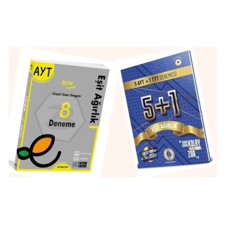 Bilgi Sarmalı & Endemik AYT Eşit Ağırlık Deneme Seti